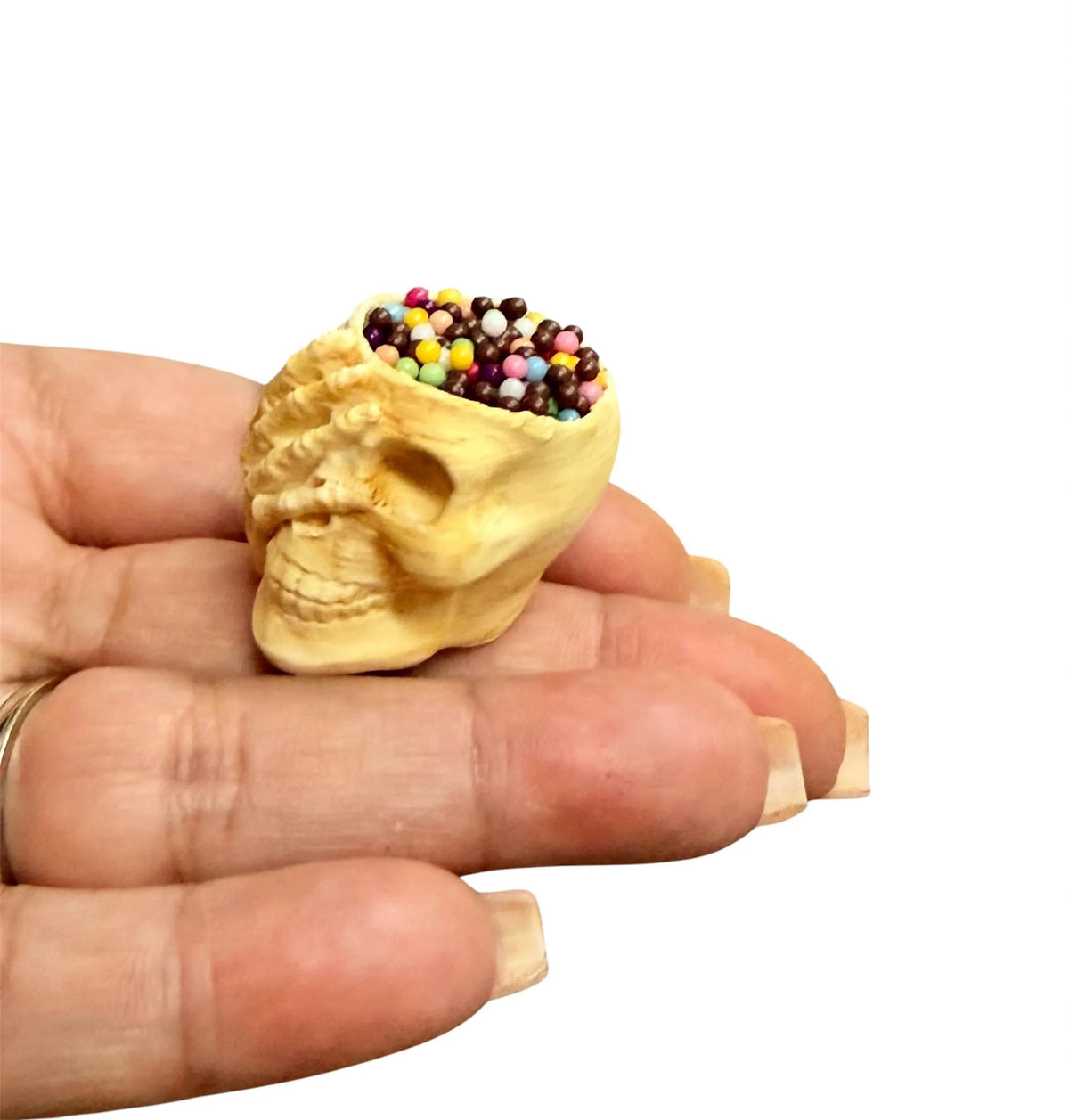 1:12 Scale Miniature Skull with Candy for Dollhouse